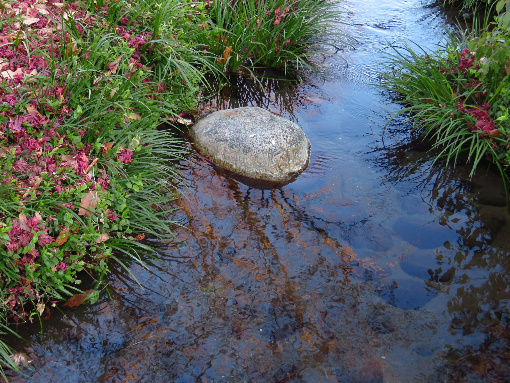 f:id:jerich:20210206132509j:image