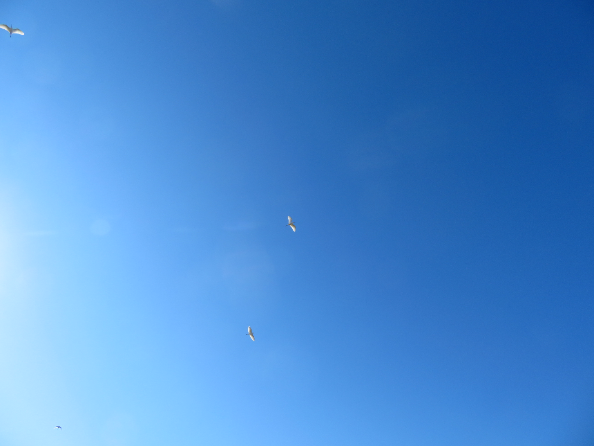 f:id:jerich:20210207154448j:image