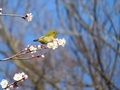 2021年2月撮影 立川