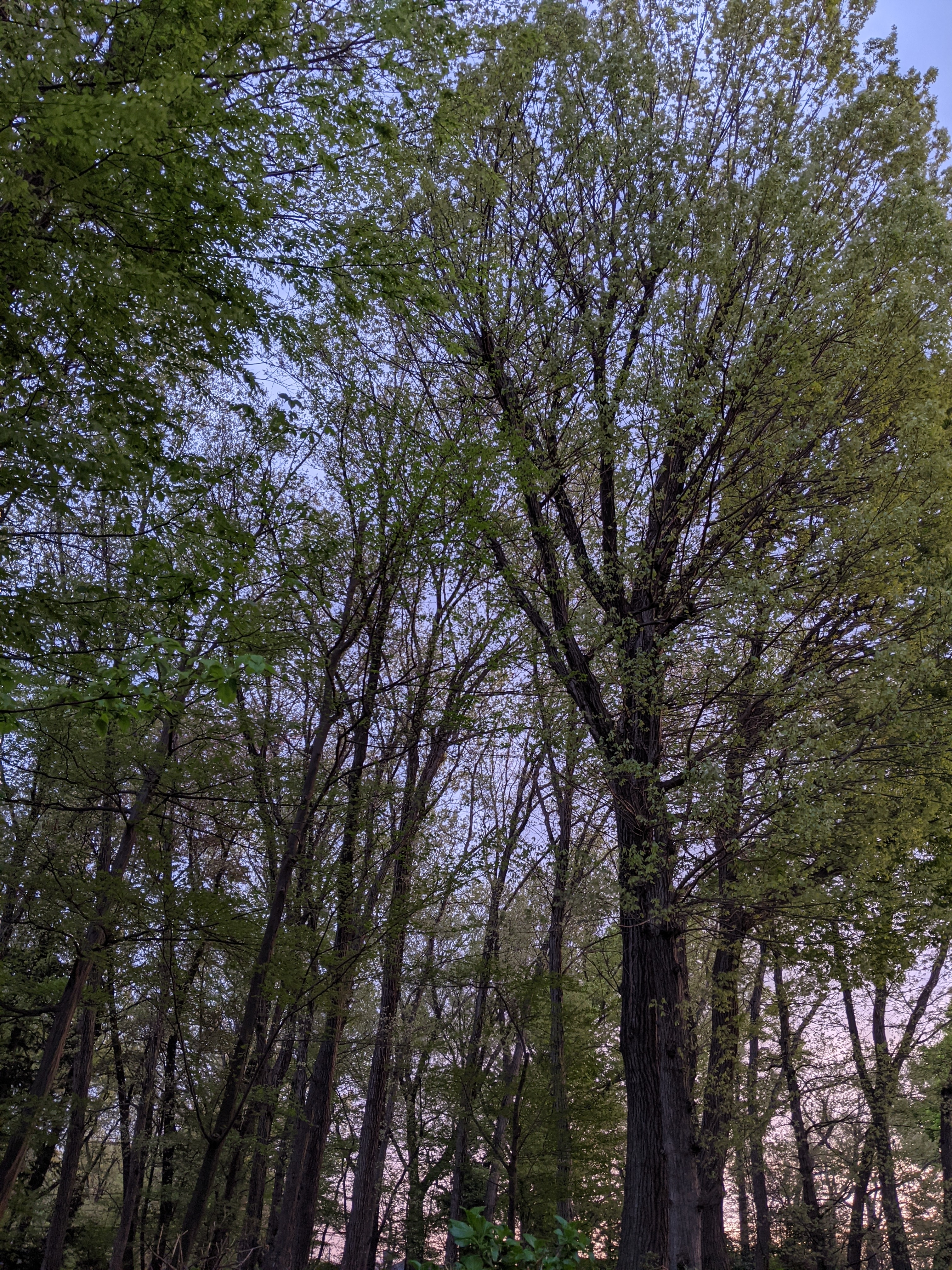 f:id:jerich:20210407195745j:image