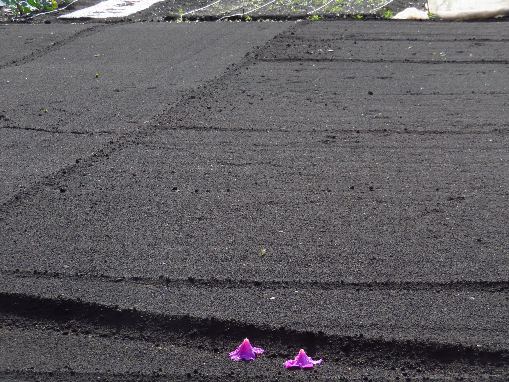 f:id:jerich:20210501111314j:image