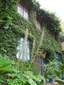 2021年6月撮影 千駄ヶ谷