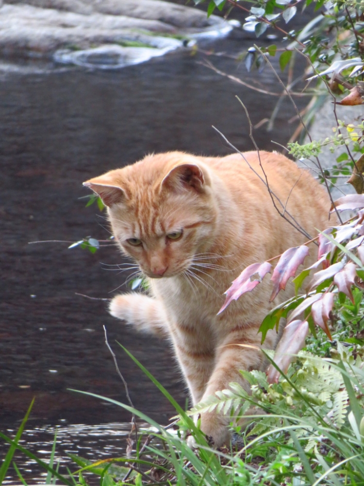 f:id:jerich:20220305062517j:plain