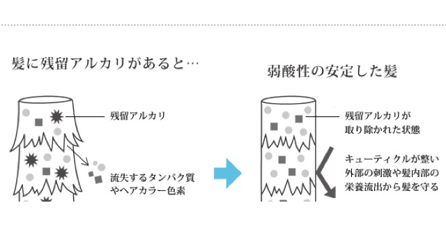 f:id:jerichohair:20160809115051j:plain