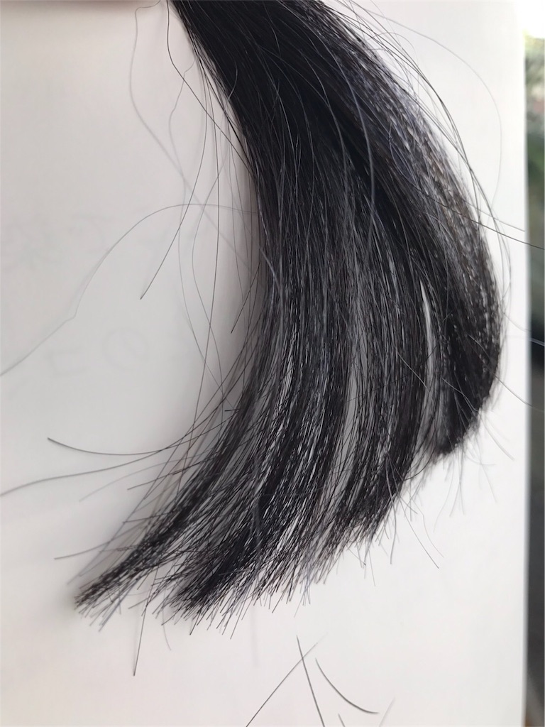 f:id:jerichohair:20171003172809j:image