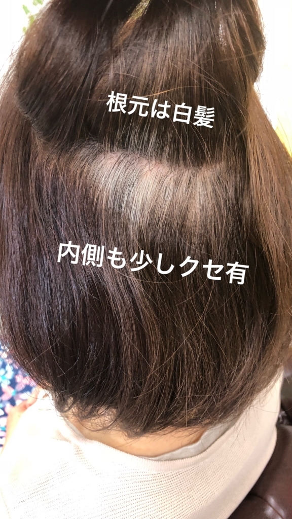 f:id:jerichohair:20180524191101j:plain f:id:jerichohair:20180524191101j:plain