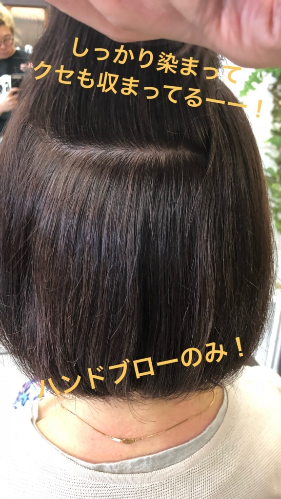 f:id:jerichohair:20180524191217j:plain f:id:jerichohair:20180524191217j:plain