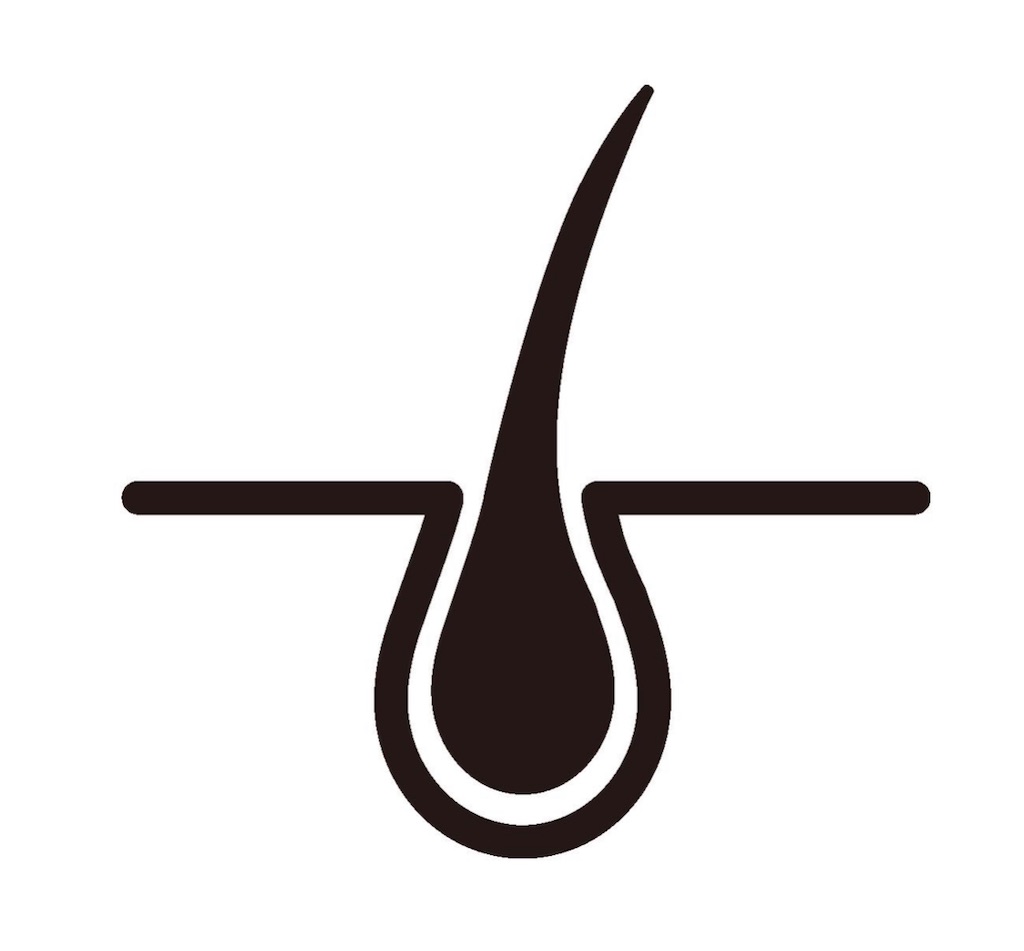 f:id:jerrybrossom:20220215105606j:image