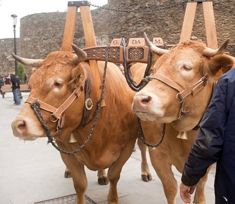 f:id:jesuslovesmeus:20201230115119j:plain