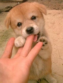 f:id:jesuslovesmeus:20210419123536j:plain