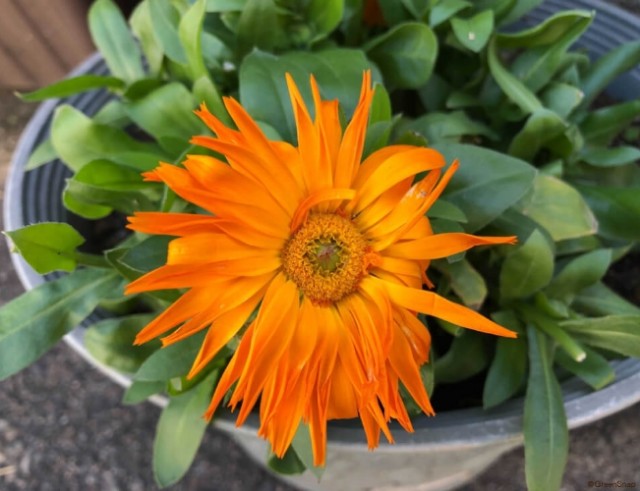 f:id:jesuslovesmeus:20210801171724j:plain