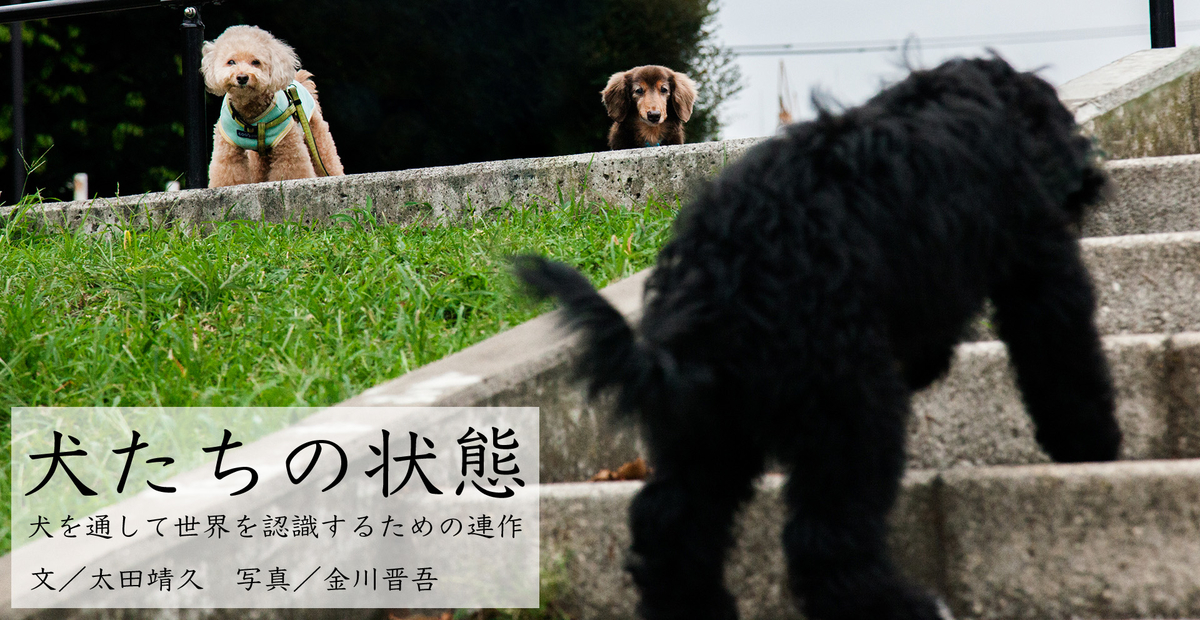 f:id:jet-shirei:20191108235152j:plain f:id:jet-shirei:20191108235152j:plain