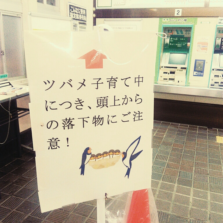 f:id:jetoku33:20190806202855j:plain f:id:jetoku33:20190806202855j:plain