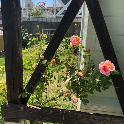f:id:jewel_handmade:20190511024228j:plain f:id:jewel_handmade:20190511024228j:plain