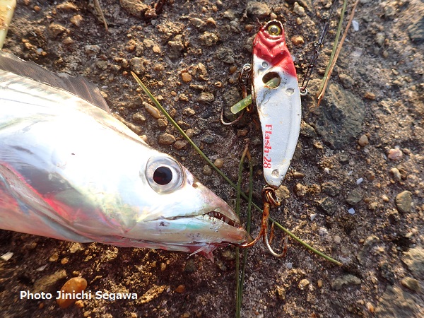 f:id:jey848:20171024150051j:plain