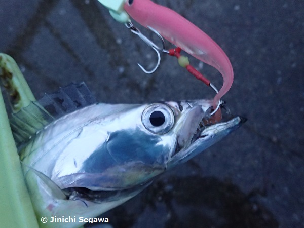 f:id:jey848:20171028222524j:plain