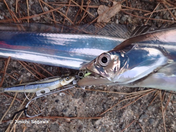 f:id:jey848:20171102190231j:plain