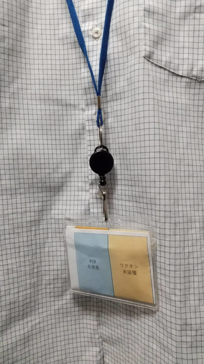 f:id:jeyseni:20210318110924j:plain