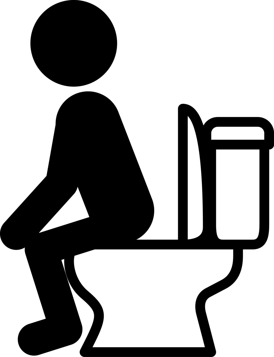 洋式便器の大きさはおかしくないか 便座の高さ 前後位置を動かせる機能が欲しい Jeyseni S Diary