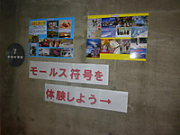 P1010351 P1010351