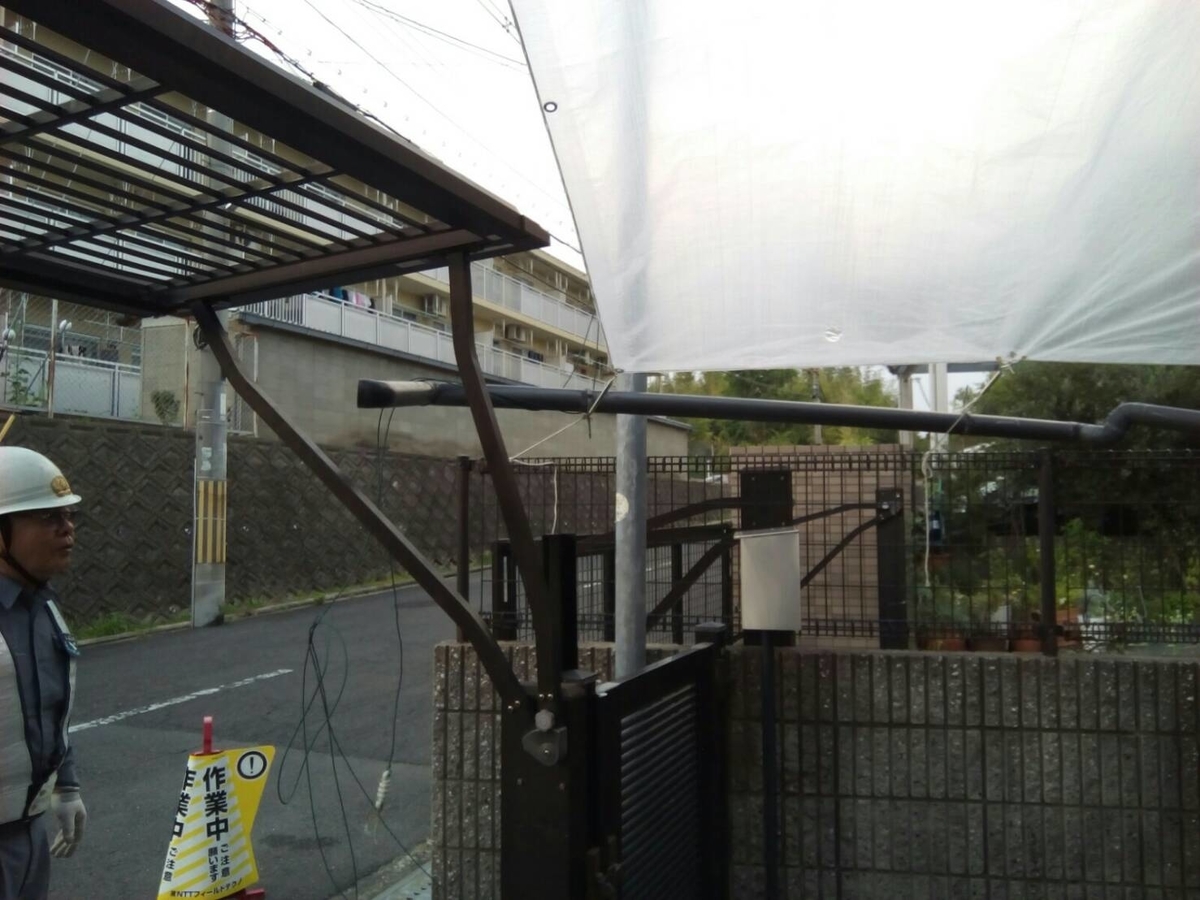 f:id:jf3plf:20190624162955j:plain f:id:jf3plf:20190624162955j:plain