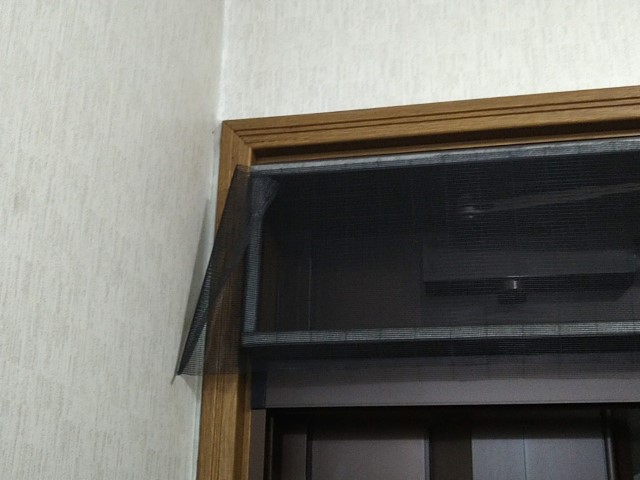 f:id:jf3plf:20200704103619j:plain f:id:jf3plf:20200704103619j:plain
