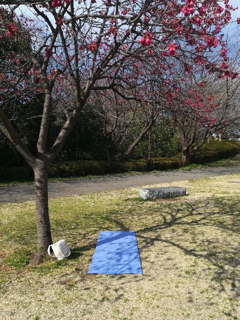 f:id:jfc_maligaya:20180304203231j:image f:id:jfc_maligaya:20180304203231j:image