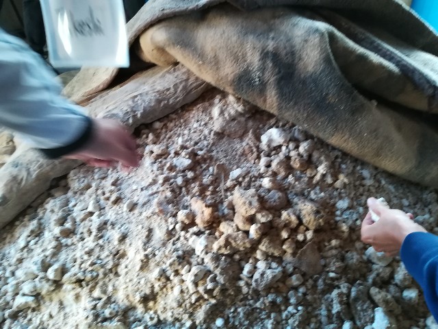 f:id:jfc_maligaya:20190504190128j:image