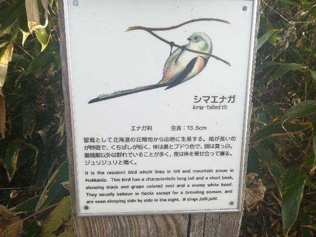 f:id:jfc_maligaya:20210118215717j:image f:id:jfc_maligaya:20210118215717j:image