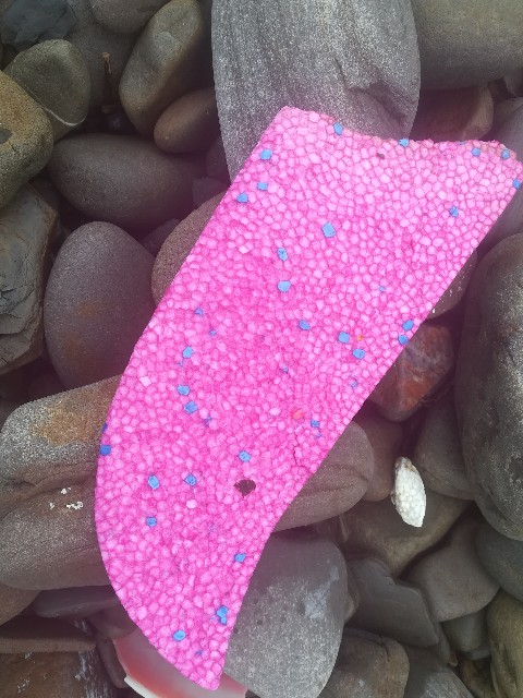 f:id:jfc_maligaya:20210618203120j:image