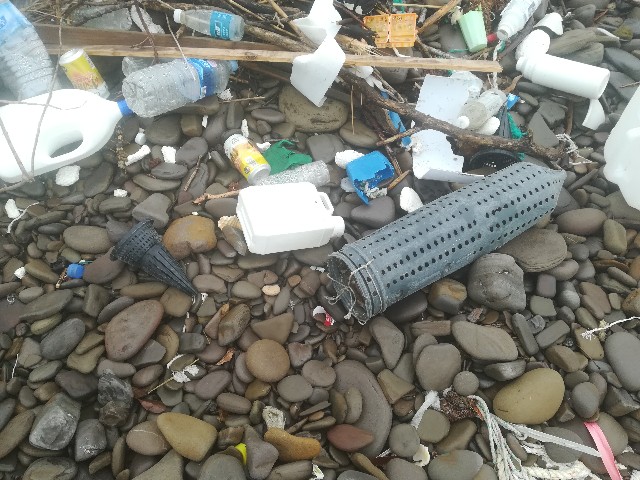 f:id:jfc_maligaya:20210618203306j:image