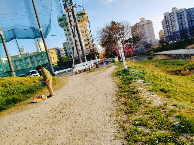 f:id:jfc_maligaya:20220315080119j:image f:id:jfc_maligaya:20220315080119j:image