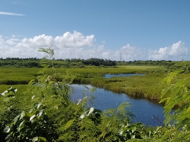 f:id:jfc_maligaya:20220824215105j:image