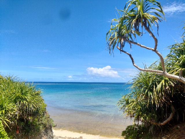 f:id:jfc_maligaya:20220824215318j:image