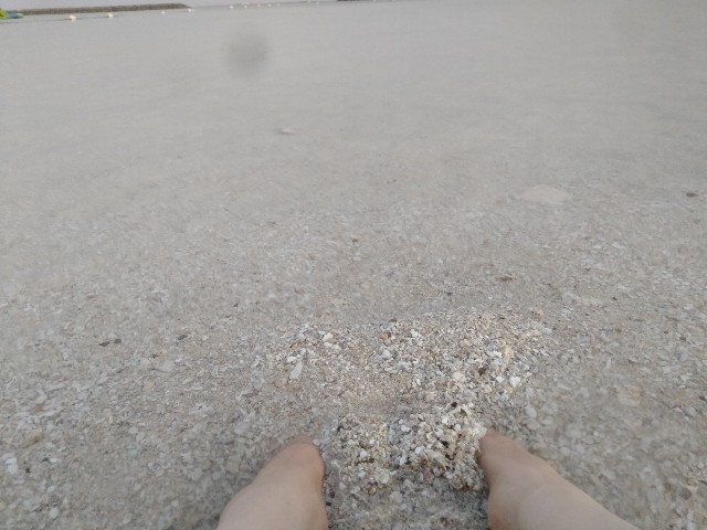 f:id:jfc_maligaya:20220920222532j:image