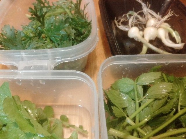 f:id:jfc_maligaya:20230507200358j:image