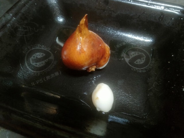 f:id:jfc_maligaya:20230609204345j:image