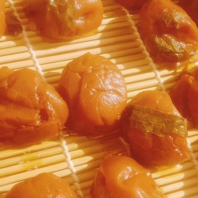 f:id:jfc_maligaya:20230803071829j:image f:id:jfc_maligaya:20230803071829j:image