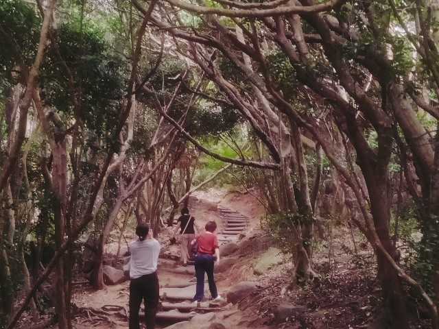 f:id:jfc_maligaya:20230809085853j:image