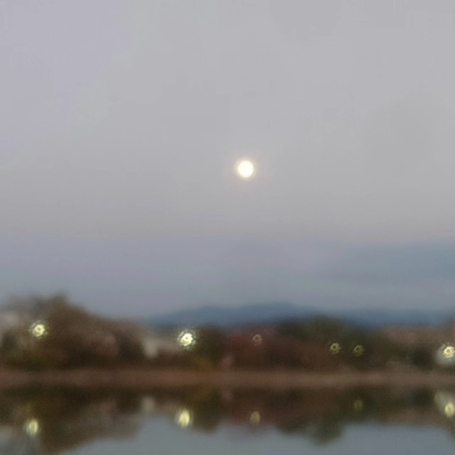 f:id:jfc_maligaya:20231126200633j:image