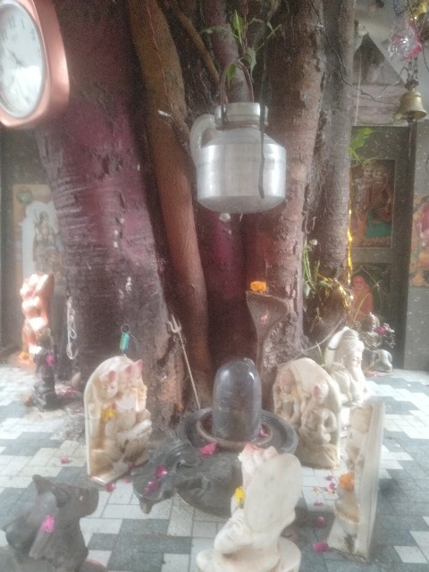 f:id:jfc_maligaya:20240120005018j:image