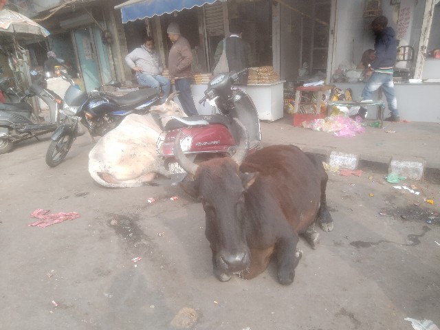 f:id:jfc_maligaya:20240120005801j:image