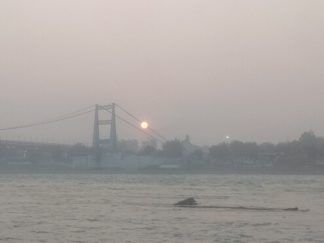 f:id:jfc_maligaya:20240125002425j:image f:id:jfc_maligaya:20240125002425j:image