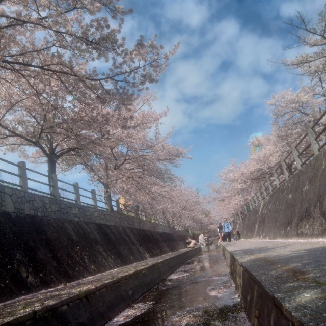 f:id:jfc_maligaya:20240408094708j:image