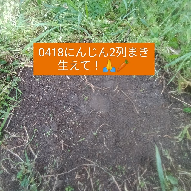 f:id:jfc_maligaya:20240419132916j:image f:id:jfc_maligaya:20240419132916j:image