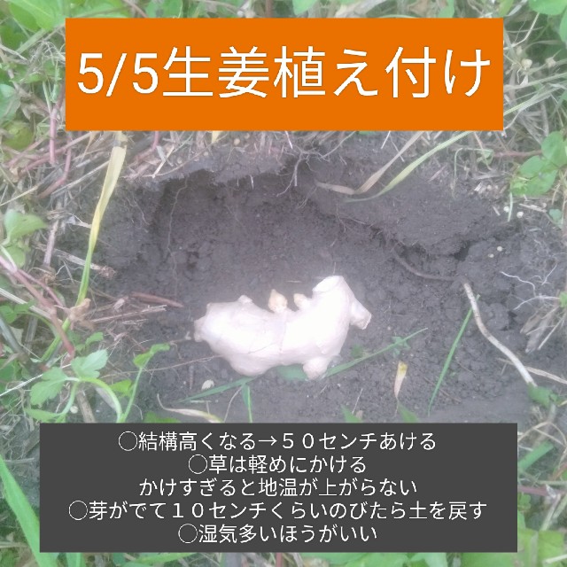 f:id:jfc_maligaya:20240509164149j:image