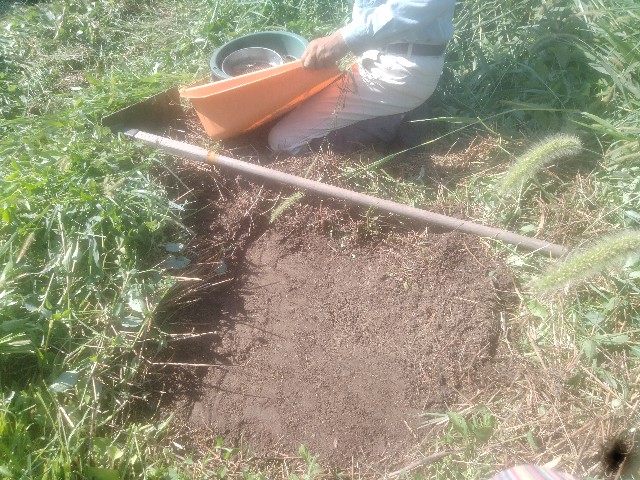 f:id:jfc_maligaya:20240903204408j:image f:id:jfc_maligaya:20240903204408j:image