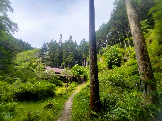 f:id:jfc_maligaya:20260531202644j:image