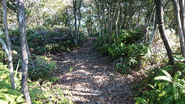 f:id:jfcgym:20211030165010j:image f:id:jfcgym:20211030165010j:image