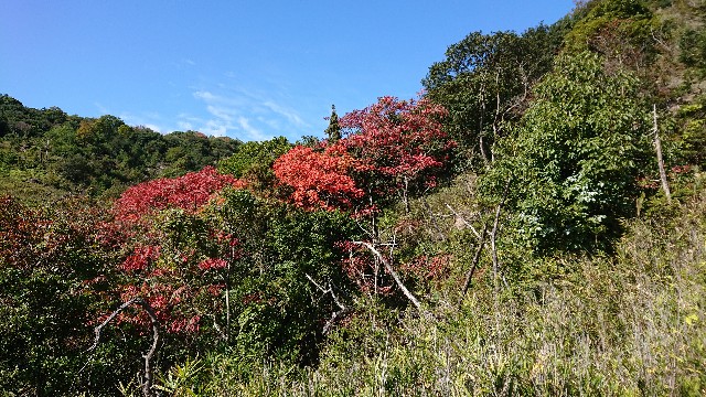 f:id:jfcgym:20211103181323j:image f:id:jfcgym:20211103181323j:image